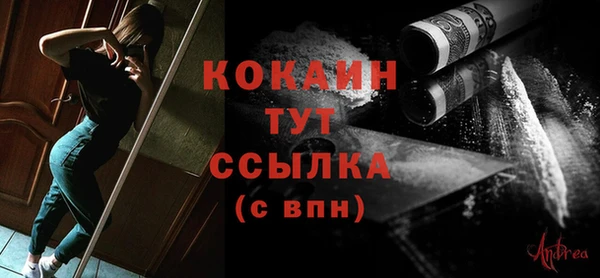прущие грибы Абаза
