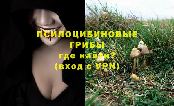 бошки Абинск