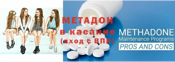 прущие грибы Абаза