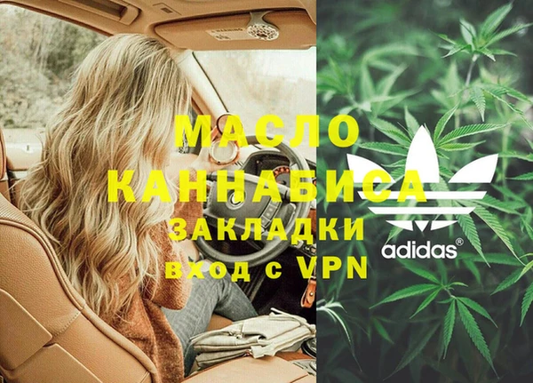 прущие грибы Абаза